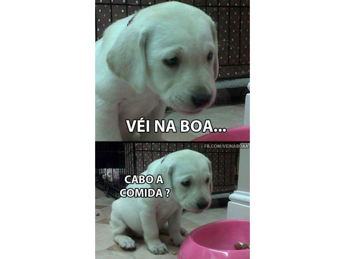 Reprodução/Facebook